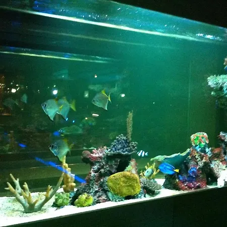 Blue Boutique Izmir