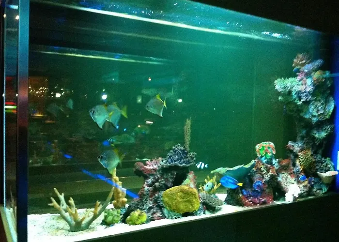 Blue Boutique İzmir